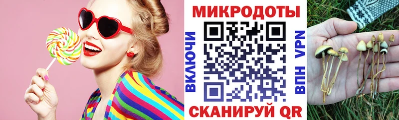 мориарти формула  продажа наркотиков  Кизел  Псилоцибиновые грибы Psilocybine cubensis 